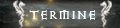 Termin