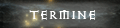 Termin
